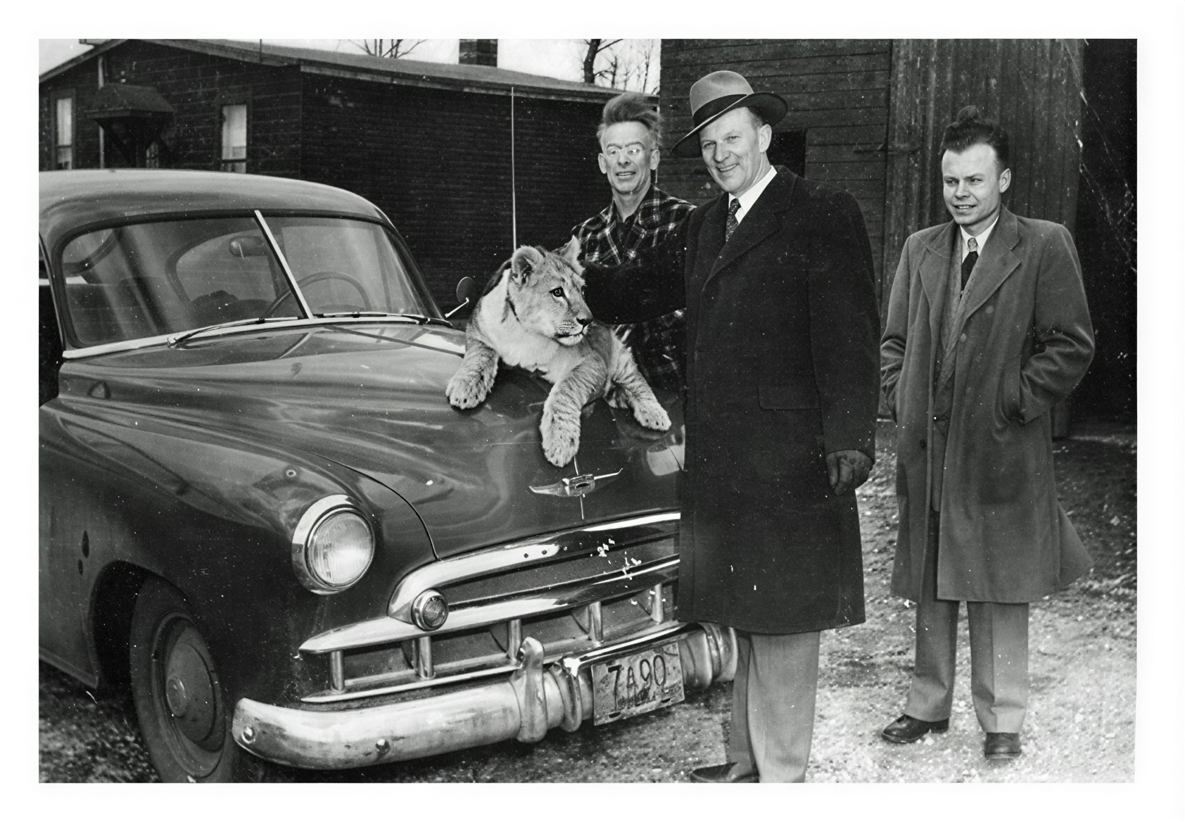 E. J. Casey With Goldie the Lion Cub